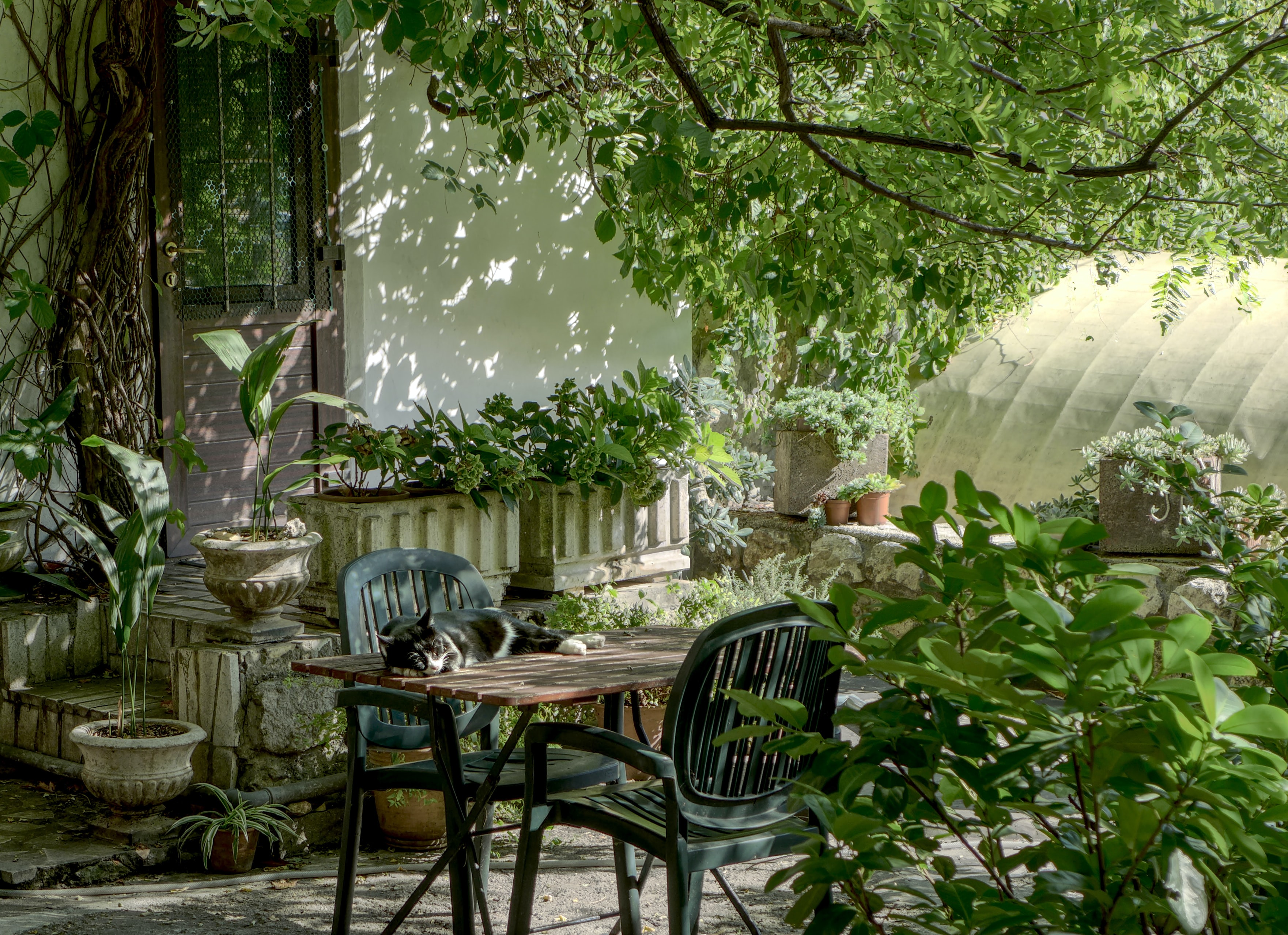 Cadeira de Jardim – Veja Quais Modelos Podem Integrar a Sua Decoração